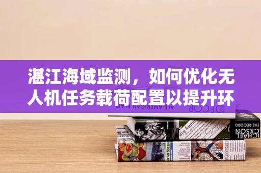 湛江海域监测，如何优化无人机任务载荷配置以提升环境监测效率？