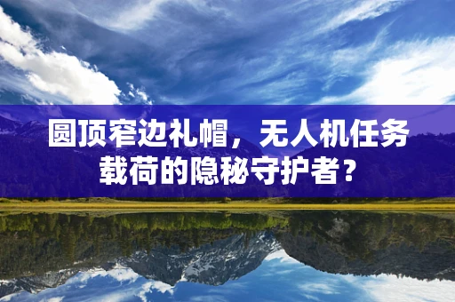 圆顶窄边礼帽，无人机任务载荷的隐秘守护者？