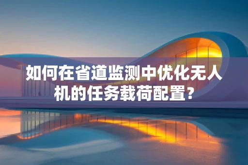 如何在省道监测中优化无人机的任务载荷配置？