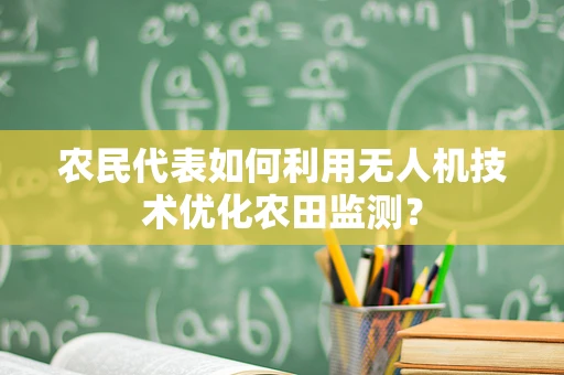 农民代表如何利用无人机技术优化农田监测？