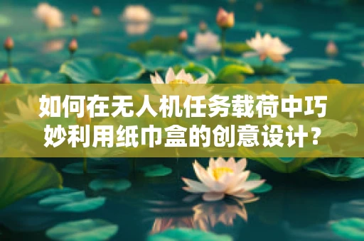 如何在无人机任务载荷中巧妙利用纸巾盒的创意设计？