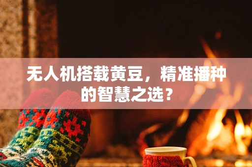 无人机搭载黄豆，精准播种的智慧之选？