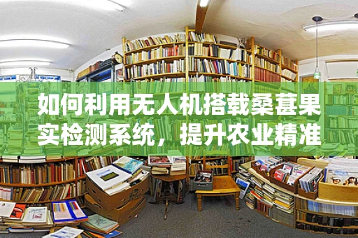 如何利用无人机搭载桑葚果实检测系统，提升农业精准管理？