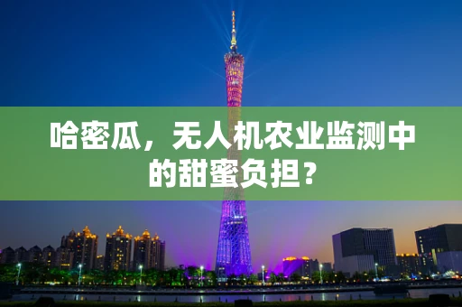 哈密瓜，无人机农业监测中的甜蜜负担？