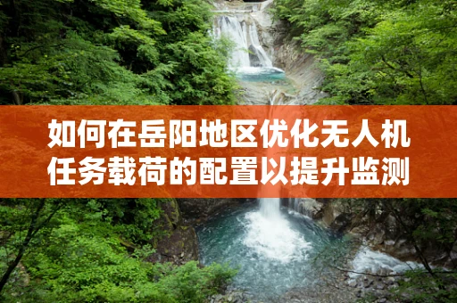 如何在岳阳地区优化无人机任务载荷的配置以提升监测效率？