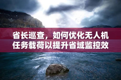 省长巡查，如何优化无人机任务载荷以提升省域监控效率？