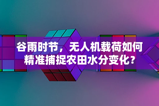 谷雨时节，无人机载荷如何精准捕捉农田水分变化？