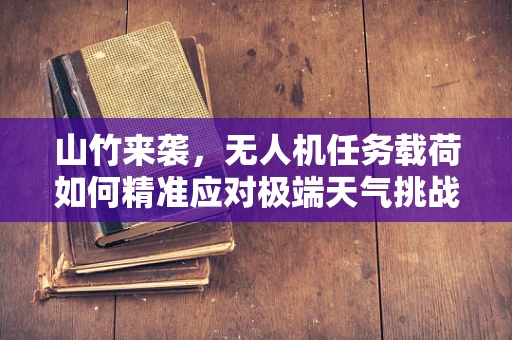 山竹来袭，无人机任务载荷如何精准应对极端天气挑战？