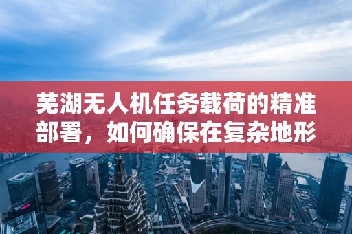 芜湖无人机任务载荷的精准部署，如何确保在复杂地形中的高效作业？