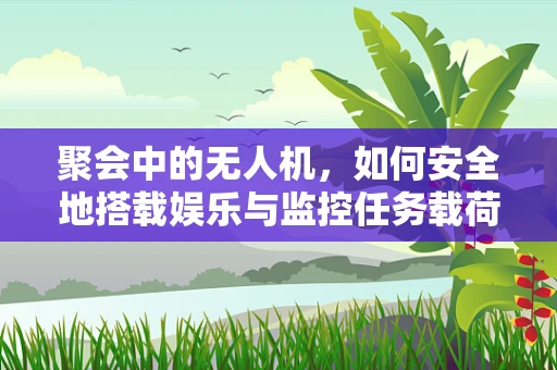 聚会中的无人机，如何安全地搭载娱乐与监控任务载荷？