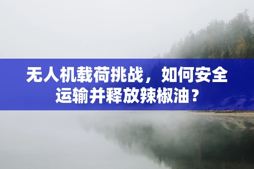 无人机载荷挑战，如何安全运输并释放辣椒油？