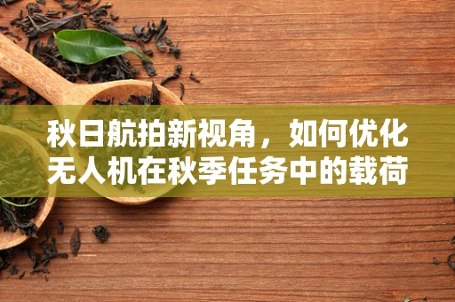 秋日航拍新视角，如何优化无人机在秋季任务中的载荷配置？