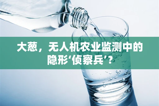 大葱，无人机农业监测中的隐形‘侦察兵’？