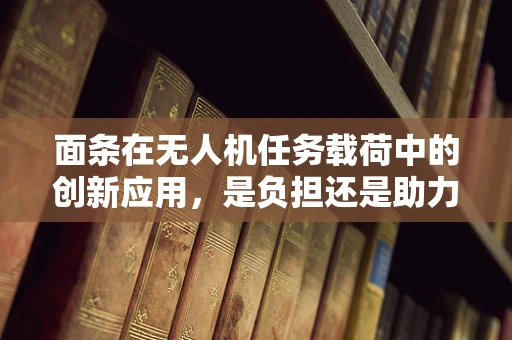 面条在无人机任务载荷中的创新应用，是负担还是助力？