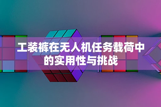 工装裤在无人机任务载荷中的实用性与挑战