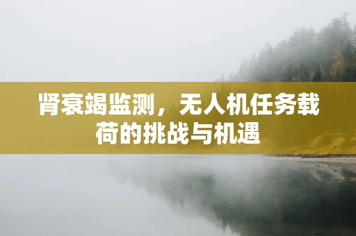 肾衰竭监测，无人机任务载荷的挑战与机遇