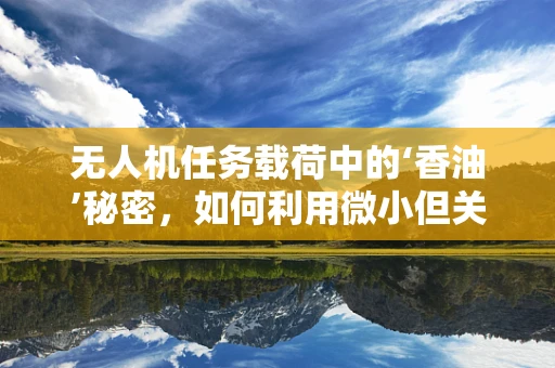 无人机任务载荷中的‘香油’秘密，如何利用微小但关键的润滑剂提升性能？