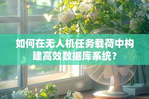 如何在无人机任务载荷中构建高效数据库系统？