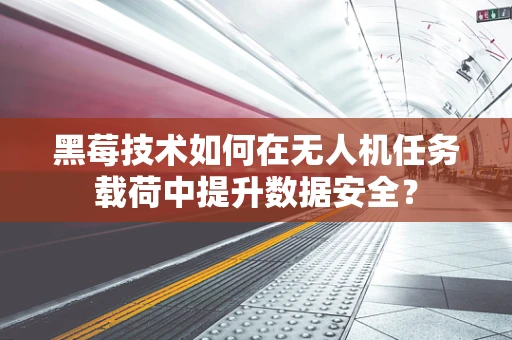 黑莓技术如何在无人机任务载荷中提升数据安全？