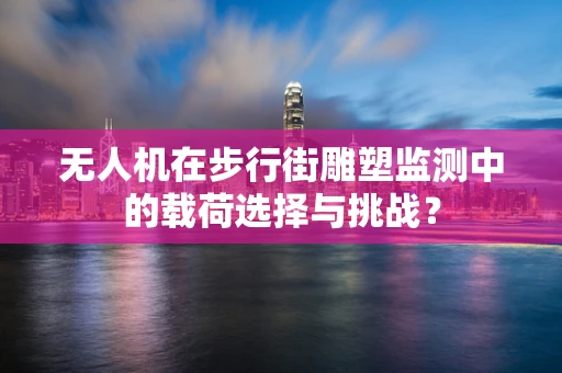 无人机在步行街雕塑监测中的载荷选择与挑战？