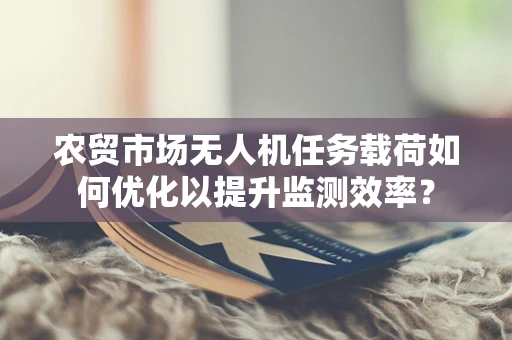 农贸市场无人机任务载荷如何优化以提升监测效率？