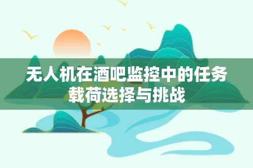 无人机在酒吧监控中的任务载荷选择与挑战