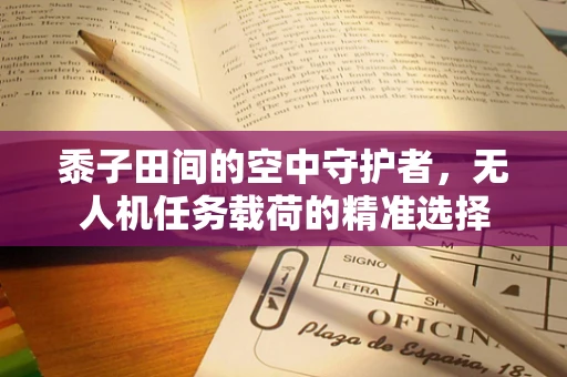 黍子田间的空中守护者，无人机任务载荷的精准选择