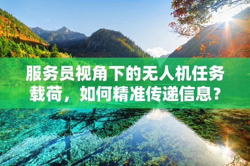 服务员视角下的无人机任务载荷，如何精准传递信息？